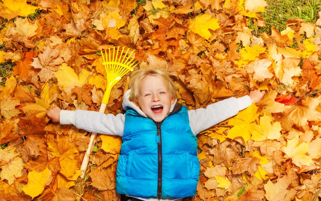 5 Stretching Exercises for Raking Leaves